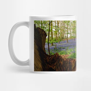 Bluebell Woods Greys Court Oxfordshire UK Mug